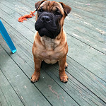 George Michael George Michael