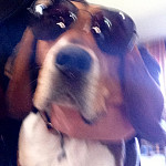 McGruff McGruff