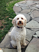 Emmy Jane Goof-a-Doodle