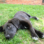 Layla & Riley Layla & Riley